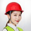test Head Protection 2